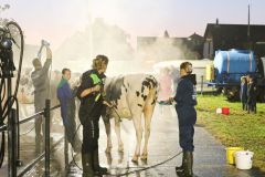 20240921-Fokveedag-6-1-van-1