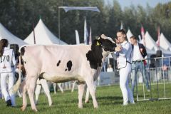 IMG_1263-1