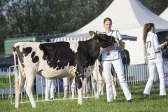 IMG_1267-1-1