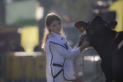 IMG_1280-1-1