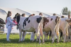 IMG_1290-1