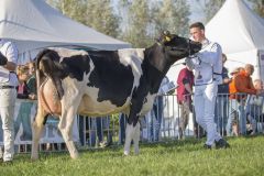 IMG_1412-1-1