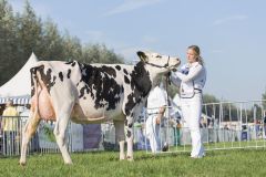 IMG_1511-1-1