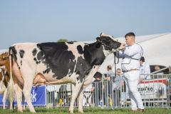 IMG_1628-1