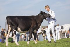 IMG_1866-1