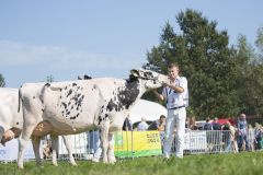 IMG_2263-1