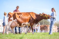 IMG_3827