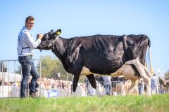 IMG_3890