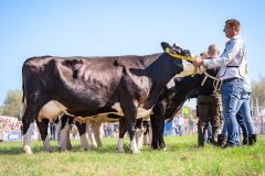 IMG_3908