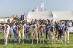 MG_1277-1-1
