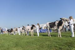 MG_1291-1-1
