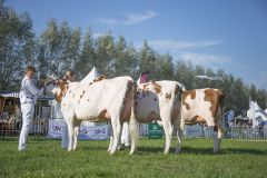 MG_1310-1-1