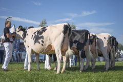 MG_1327-1