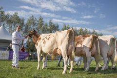 MG_1342-1