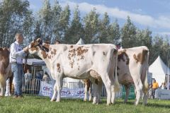 MG_1350-1-1