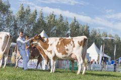 MG_1352-1