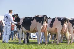 MG_1359-1-1