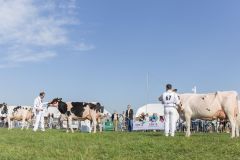 MG_1373-1