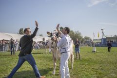 MG_1376-1-1