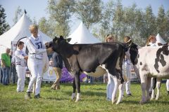 MG_1434-1-1