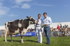MG_1446-1-1