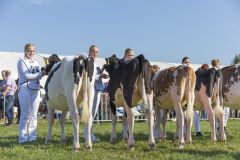 MG_1453-1