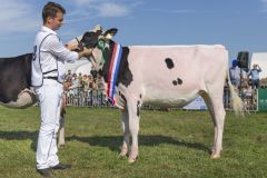 MG_1484-1