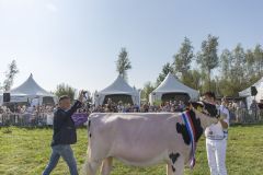 MG_1486-1-1