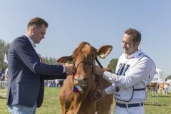 MG_1515-1