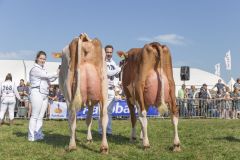 MG_1568-1