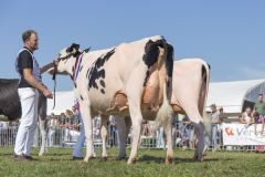 MG_1594-1
