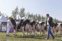 MG_1610-1-1