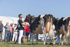 MG_1617-1