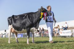 MG_1643-1