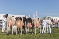 MG_1676-1-1