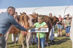 MG_1796-1