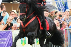 202509020-Fokveedag-2025-114