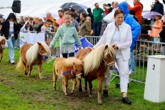 202509020-Fokveedag-2025-142