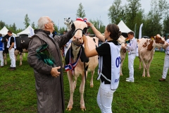 202509020-Fokveedag-2025-148