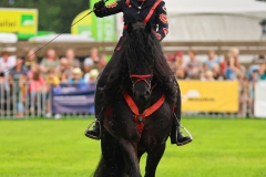 202509020-Fokveedag-2025-98