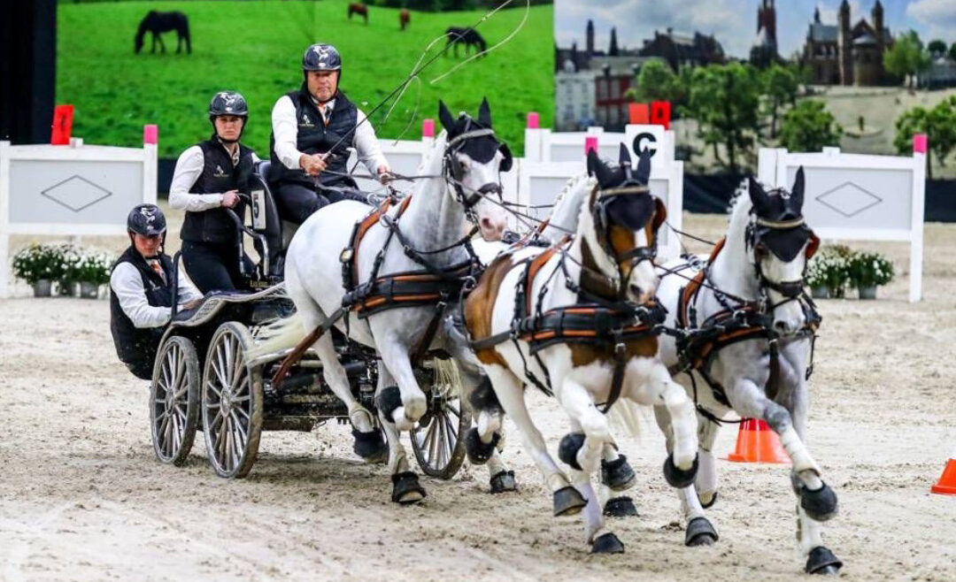 Fokveedag Boerenlandfeest strikt met vierspanrijder IJsbrand Chardon wereldtopper voor pauzeprogramma