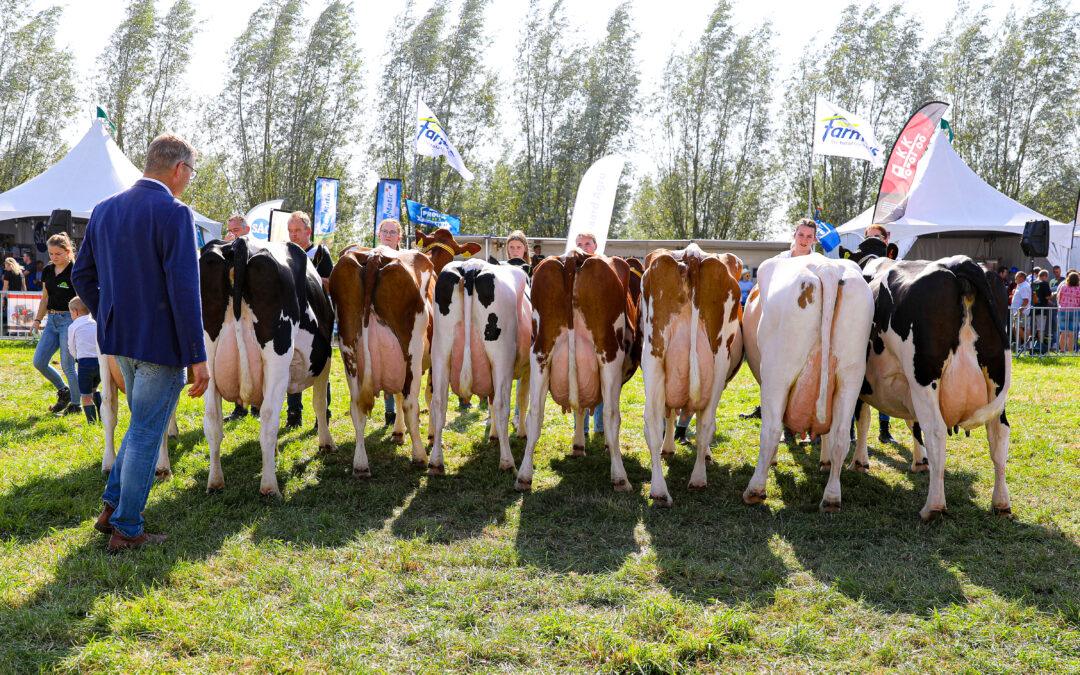 Mooie gift van Rivierenlandfonds voor Fokveedag Boerenlandfeest
