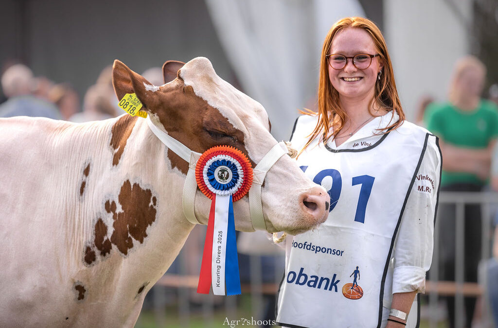 Foto’s keuring divers