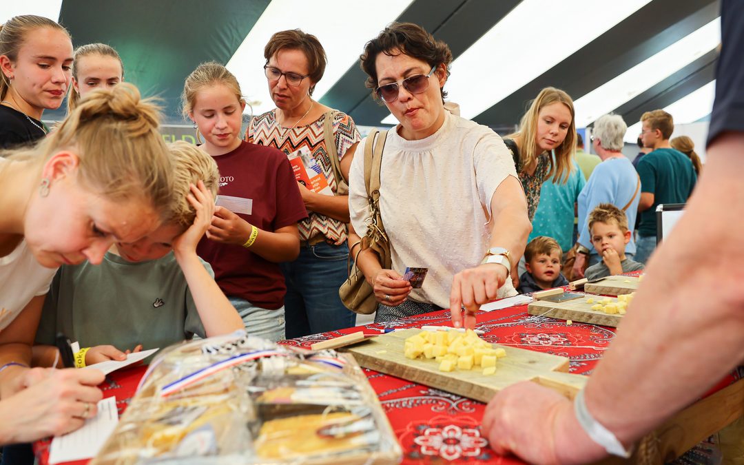 De beste boerderijkazen van Nederland zijn te zien en te proeven op Fokveedag Boerenlandfeest