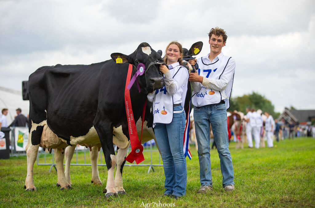 Fotoserie van de keuring divers