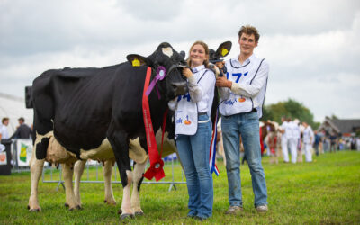 Fotoserie van de keuring divers