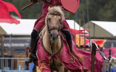 Ridder & Paarden Spektakel in pauzeprogramma van Fokveedag Boerenlandfeest