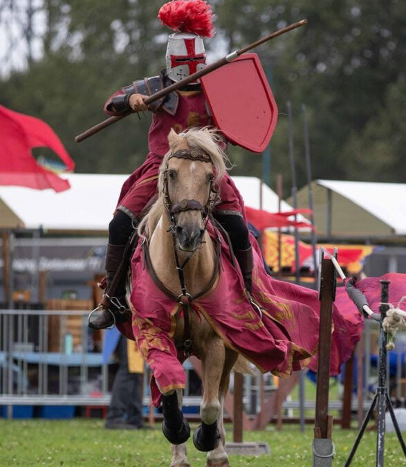 Ridder & Paarden Spektakel in pauzeprogramma van Fokveedag Boerenlandfeest